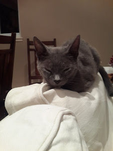 Meet your Posher, Vafa